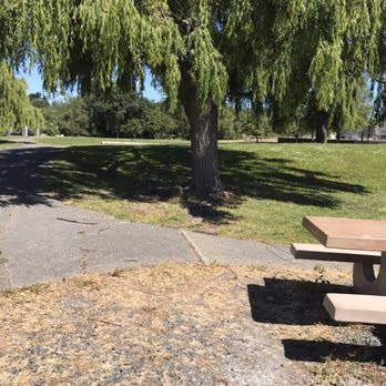 Lucchesi Park